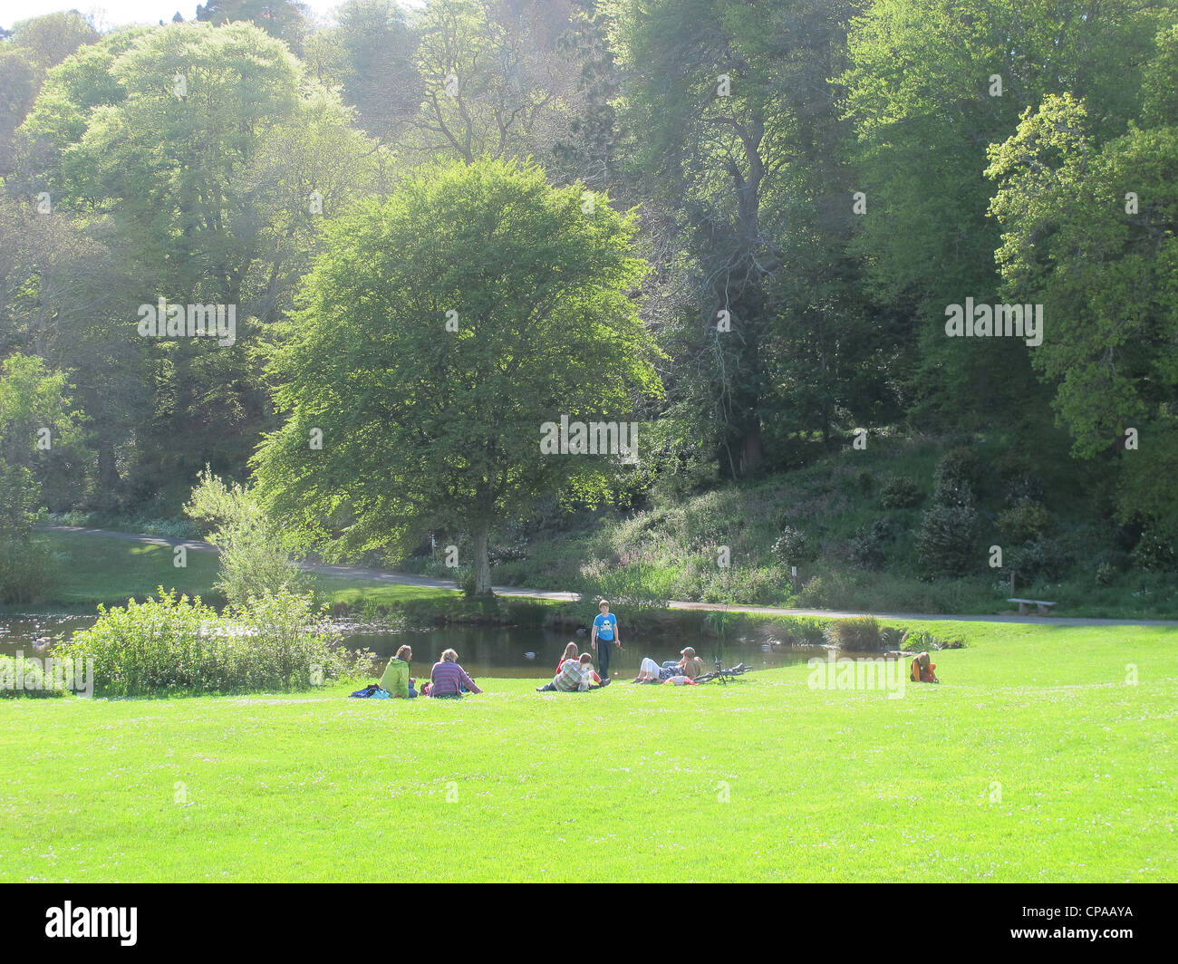 Edgecumbe family hires stock photography and images Alamy