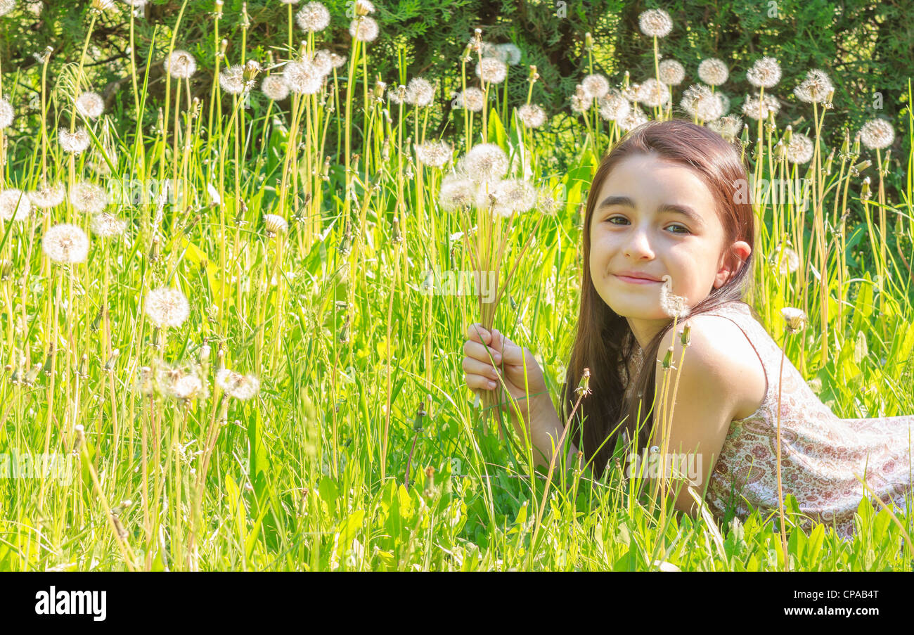 Little Girl Busy Blowing Dandelion Seeds In the Park Stock Photo