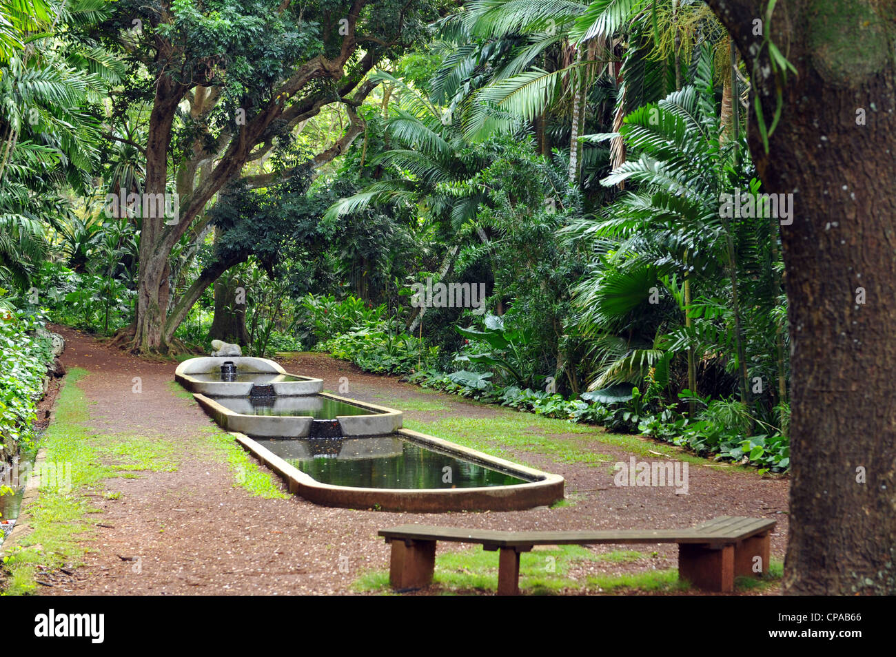 Allerton Garden Kauai Stock Photo 48171486 Alamy