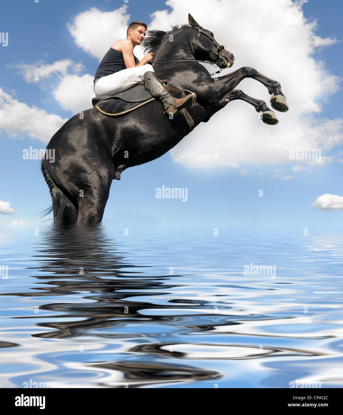 young man and her beautiful black stallion rearing up in the water Stock Photo