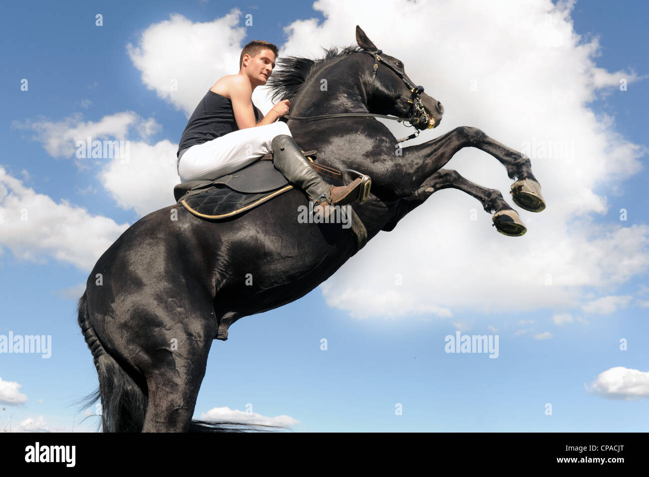 young man and her beautiful black stallion rearing up Stock Photo