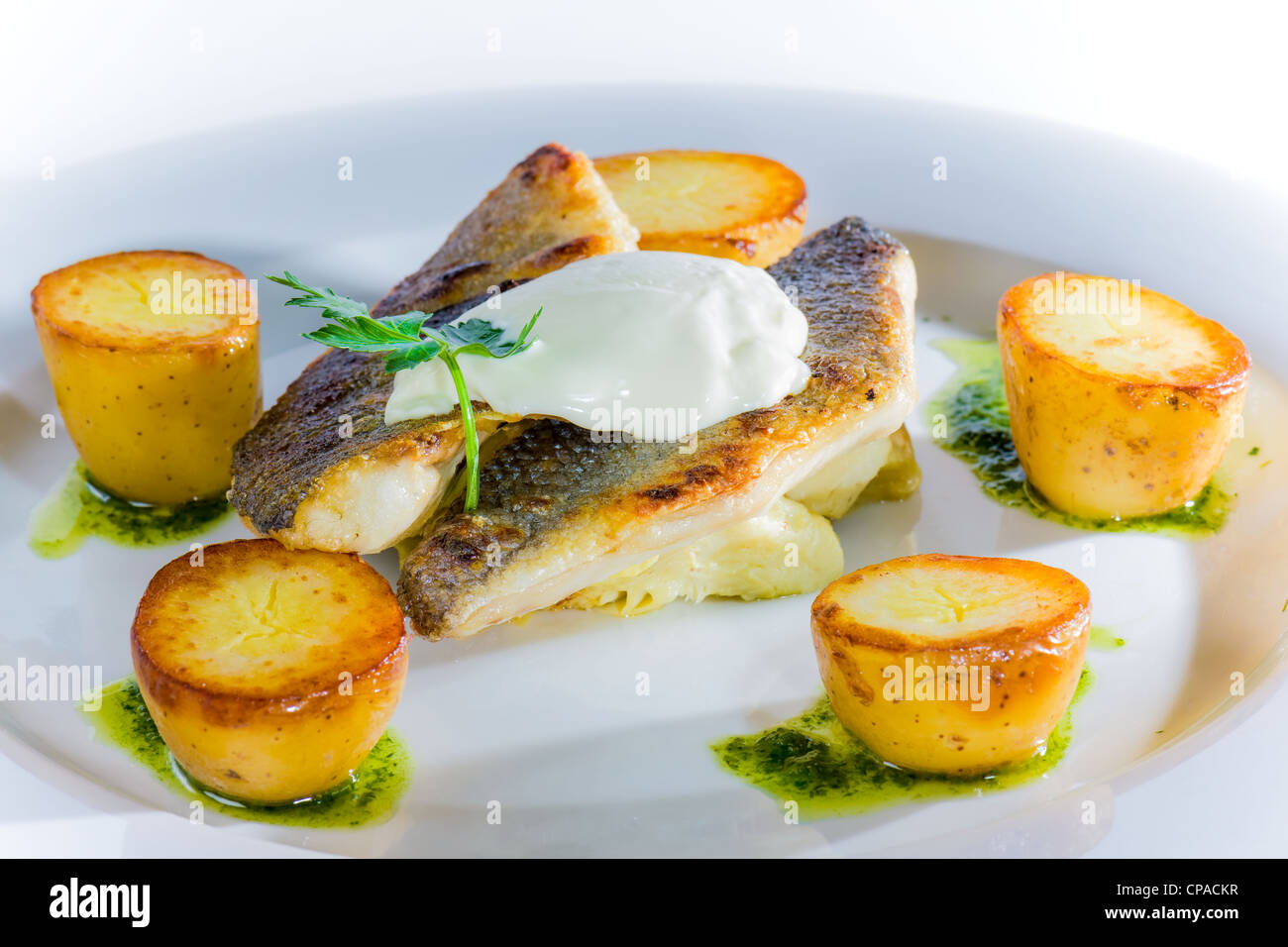 Chef's Presentation Dish - Sea Bass Stock Photo