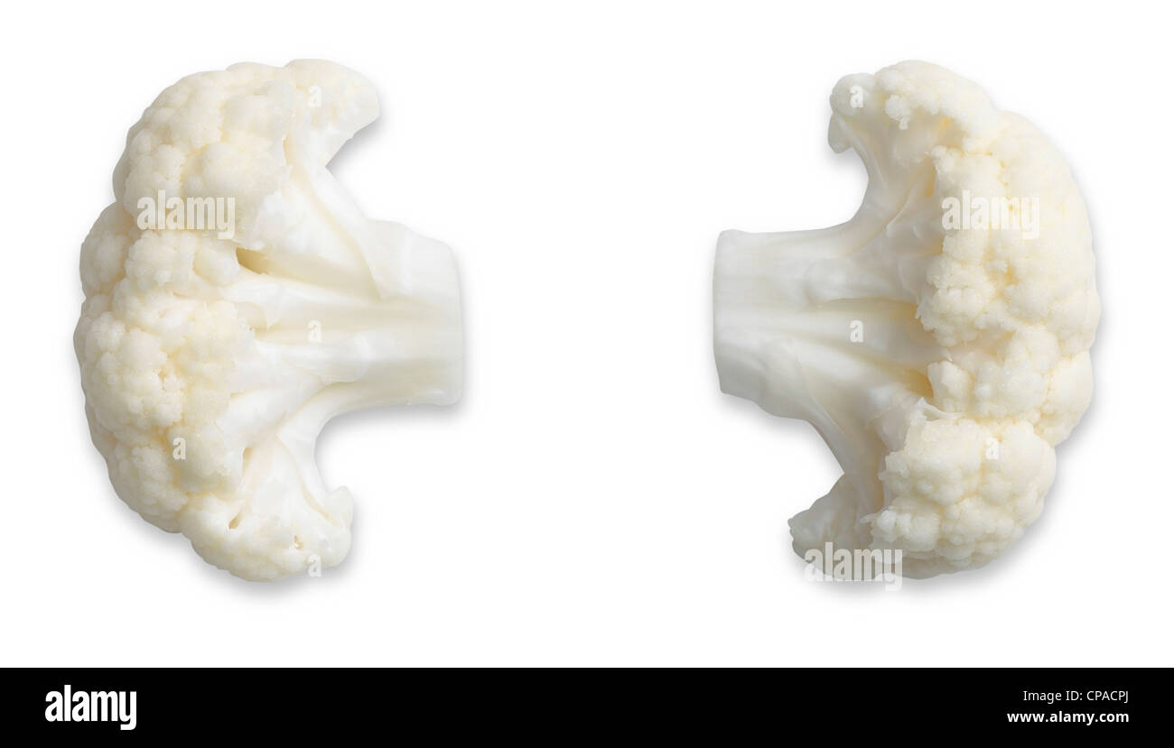 a pair of comedy cauliflower ears isolated on white with path waiting