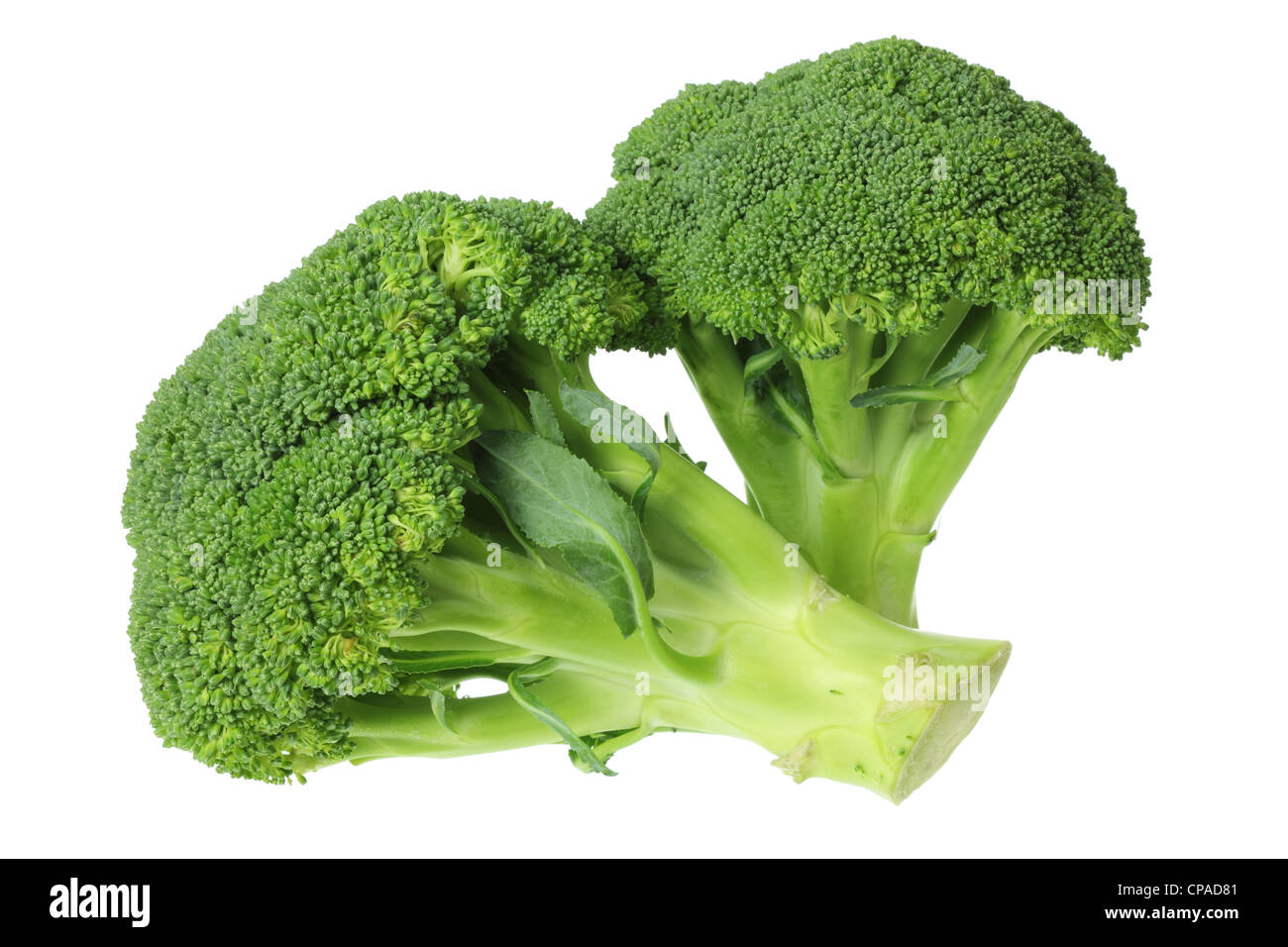 Broccoli Stock Photo