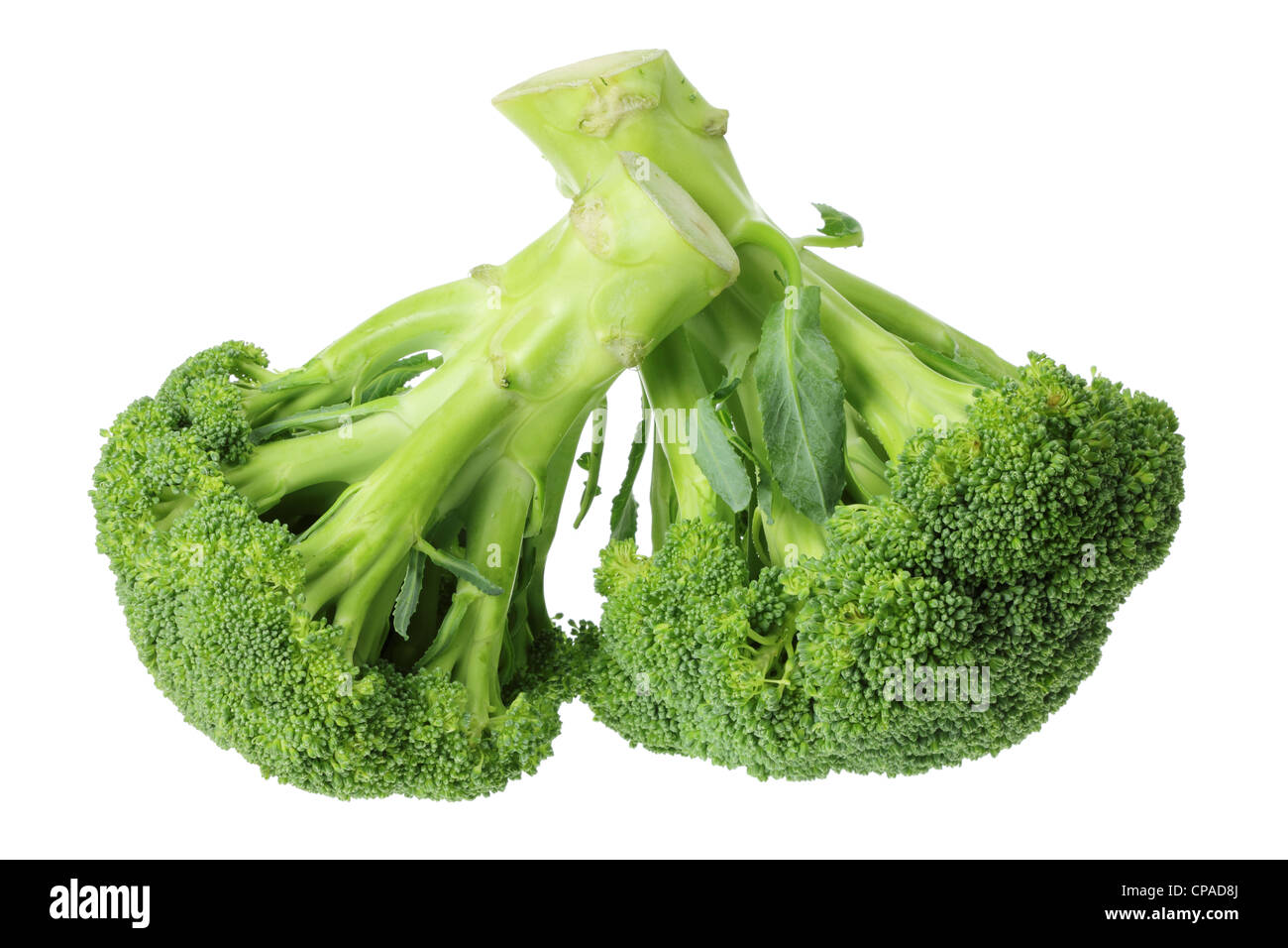 Cut broccoli stalk hires stock photography and images Alamy