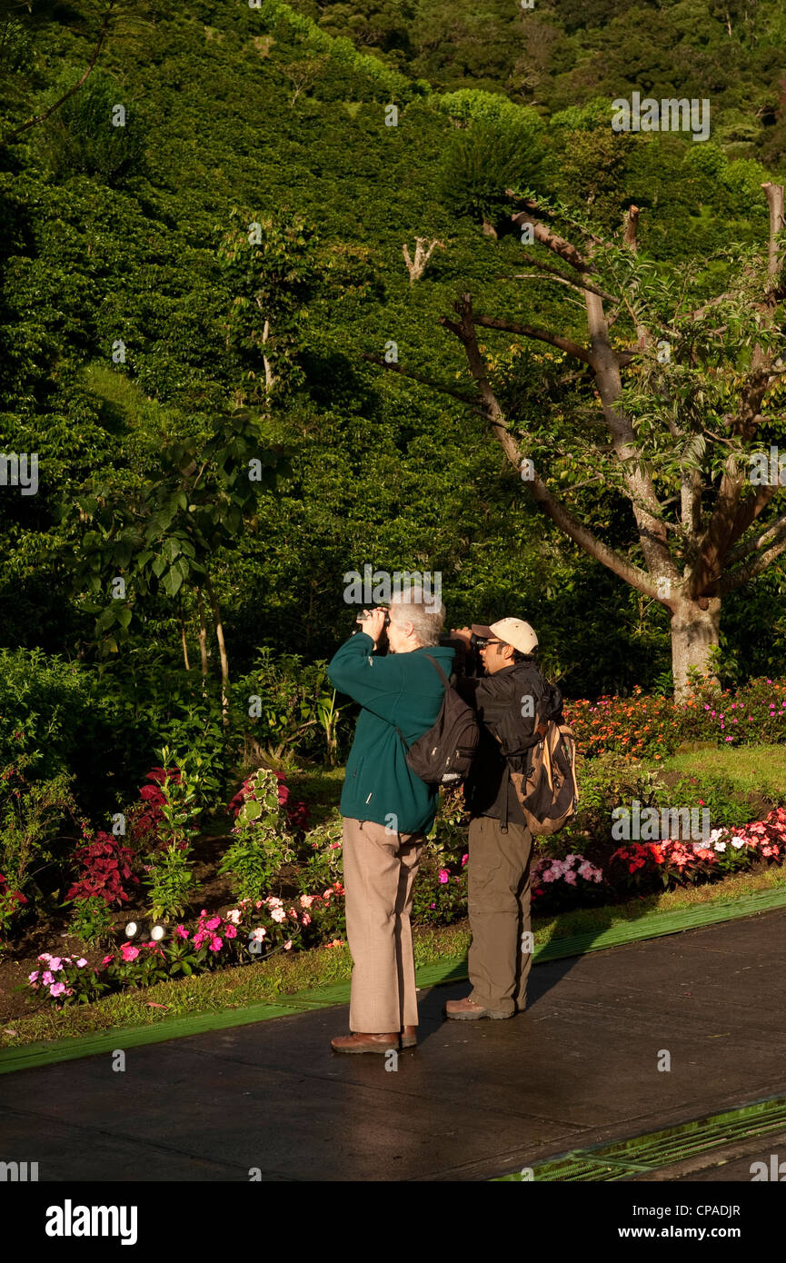 Birdwatchers Stock Photo