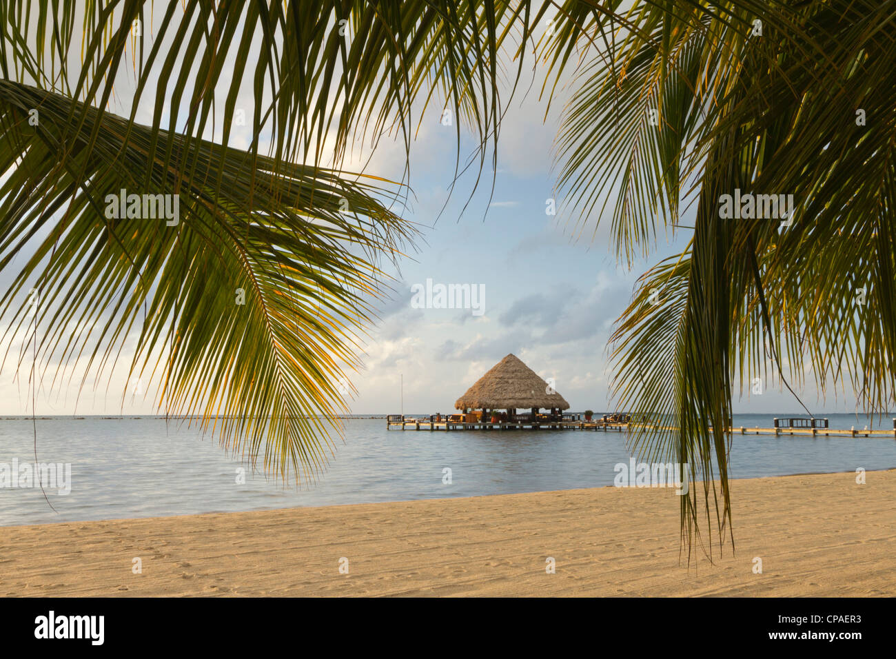 A palapa and sandy beach, Placencia, Belize Stock Photo