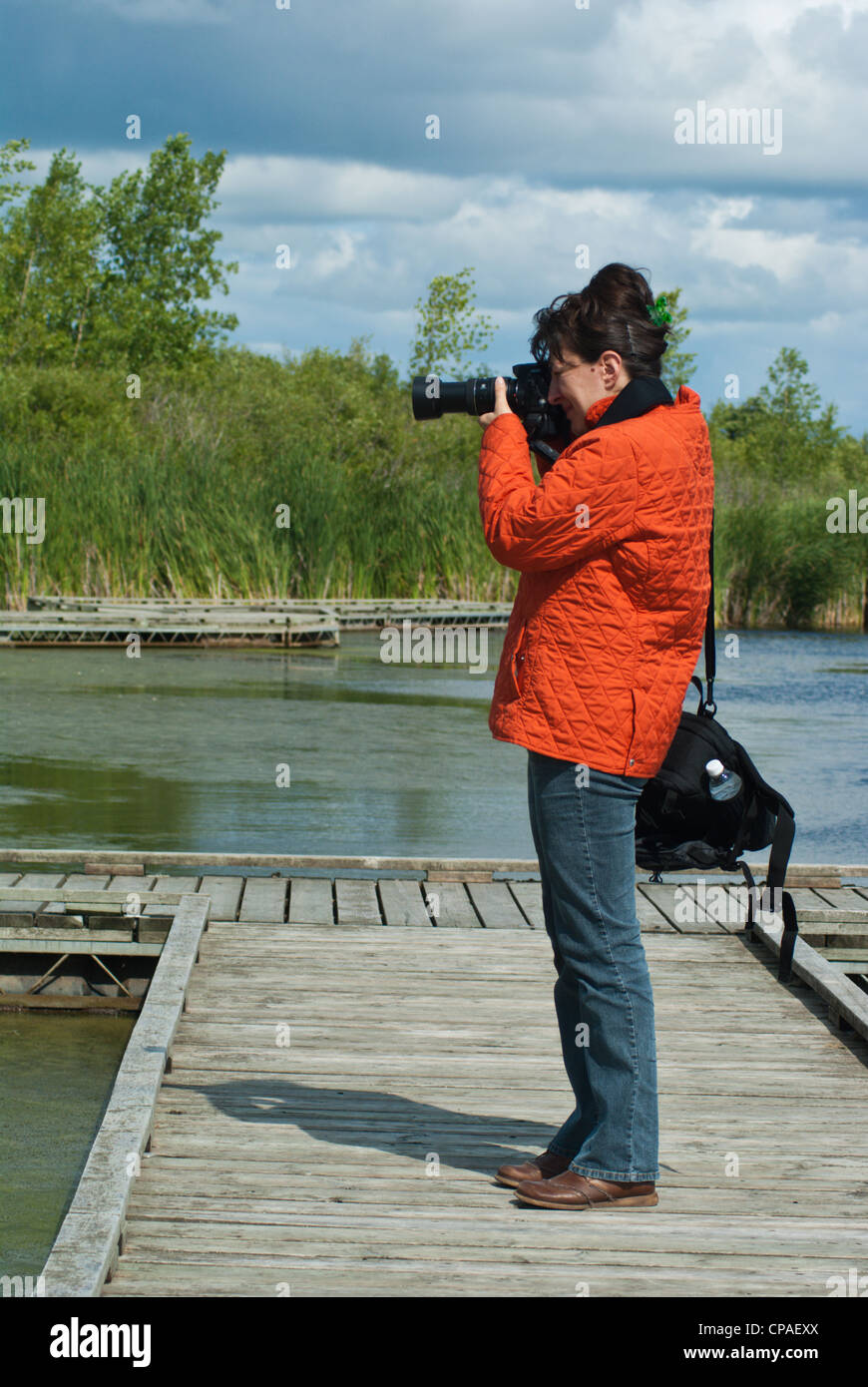 Reed lake manitoba hires stock photography and images Alamy
