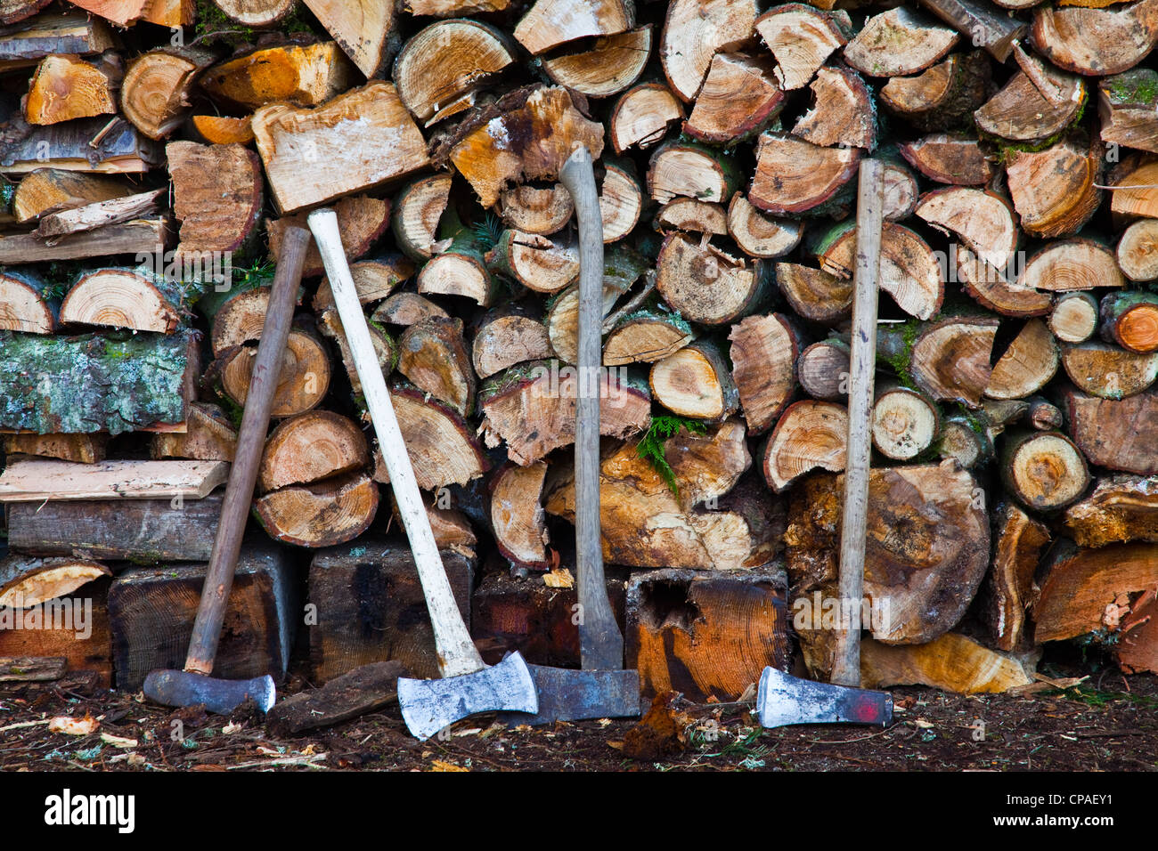 A stack of split logs for winter heating fuel Stock Photo