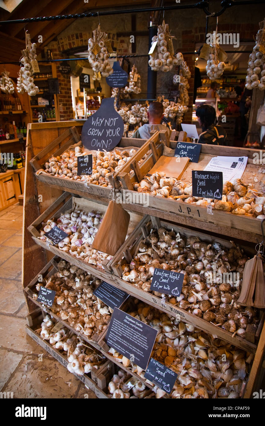 Isle of wight shopping hires stock photography and images Alamy