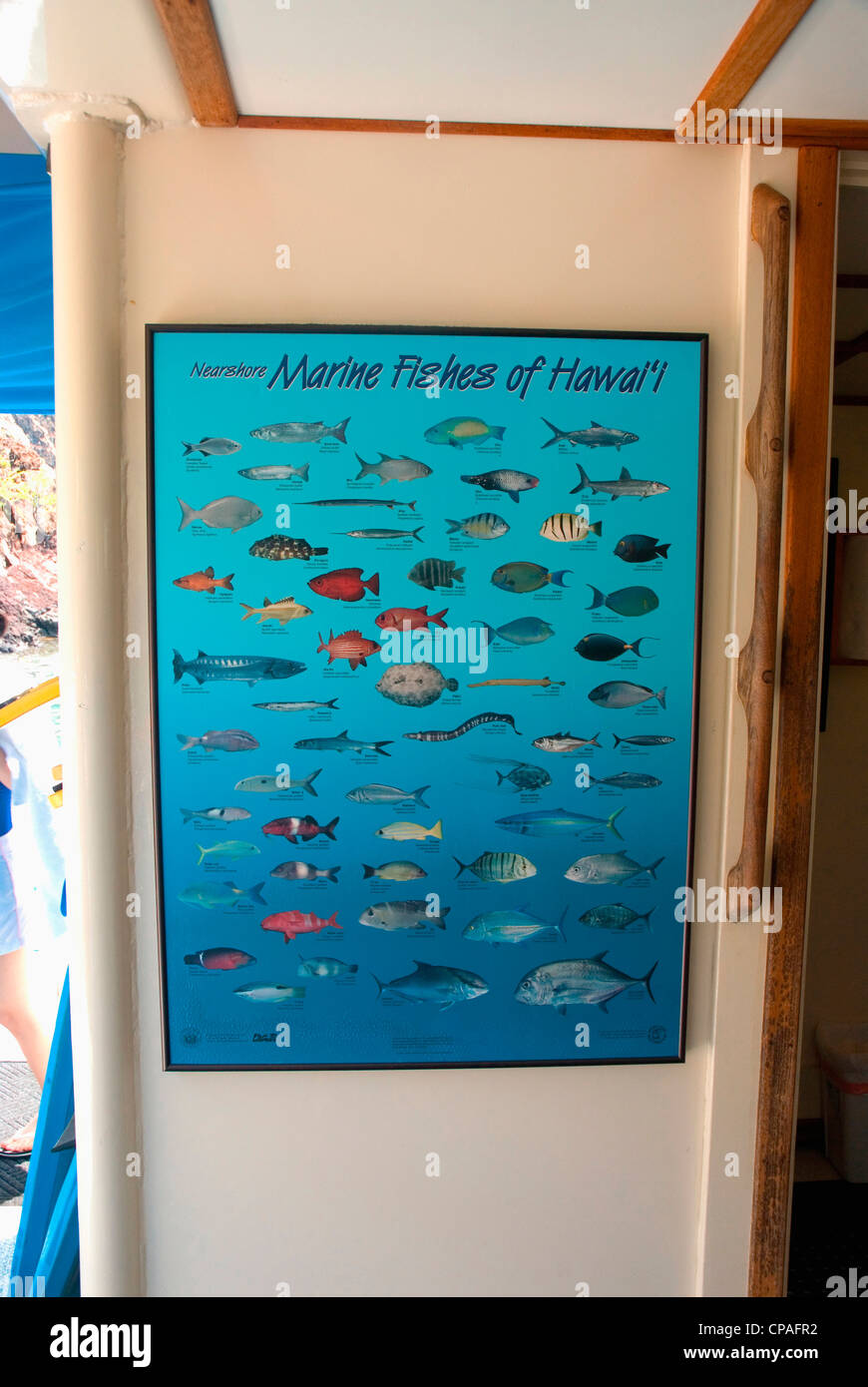 Hawaii, Big Island, Kona, aboard the Fair Wind snorkel boat Stock Photo