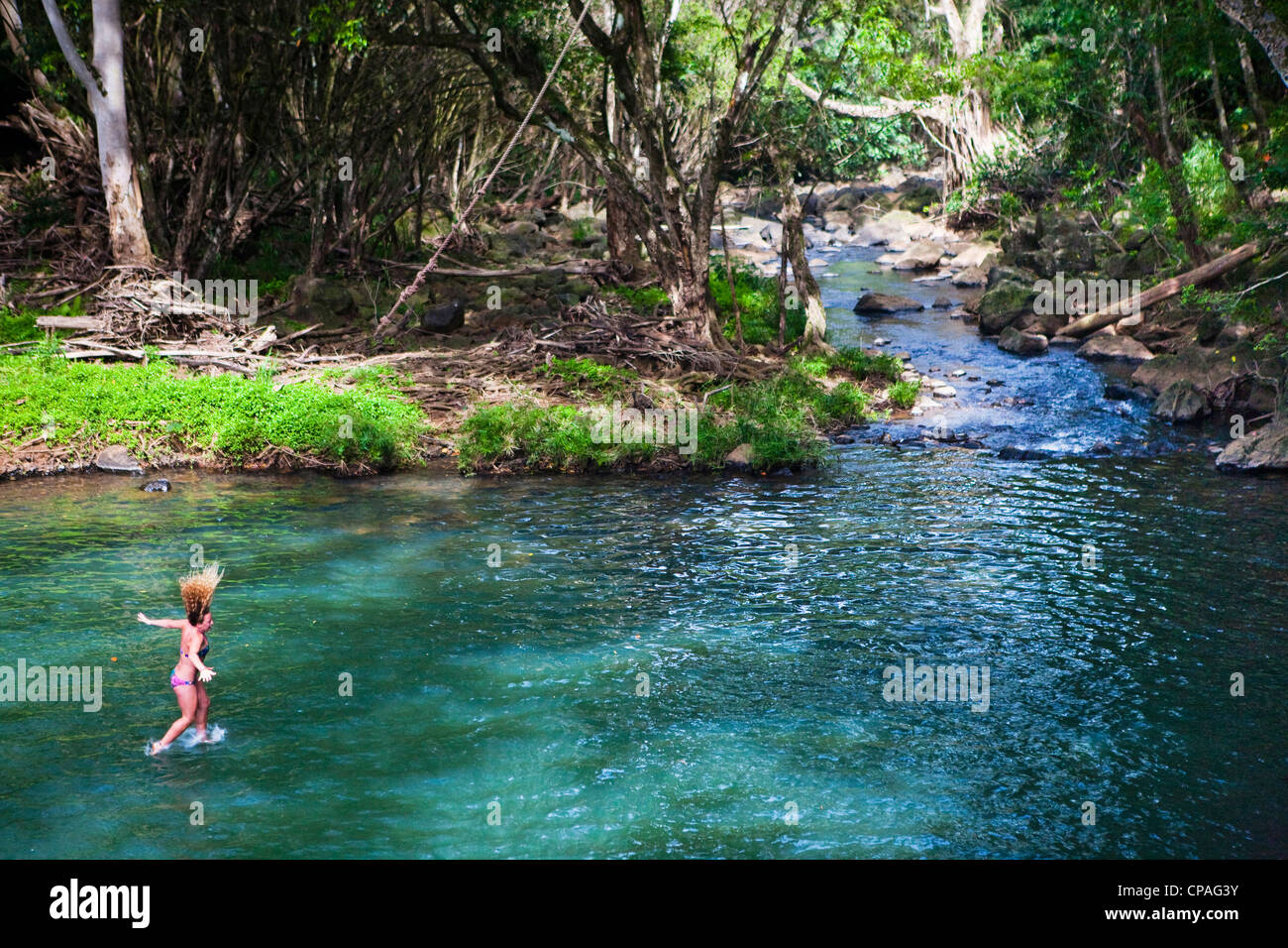 Kauai, Hawaii, USA. Kipu Falls. A gigantic rope swing allows for thrill