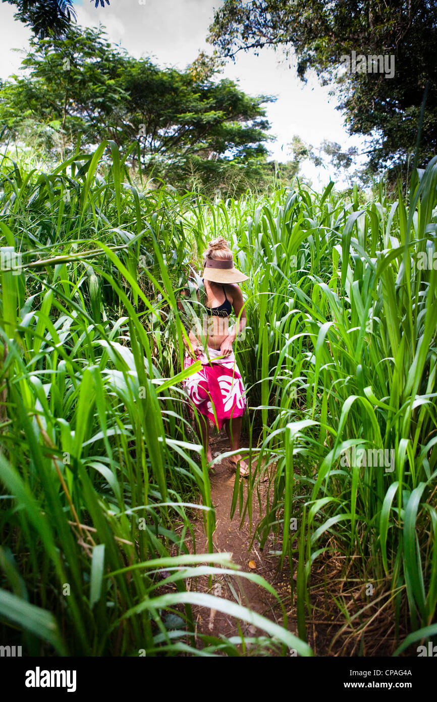 Kauai, Hawaii, USA. Kipu Falls is a secret swimming hole on Hawaii's