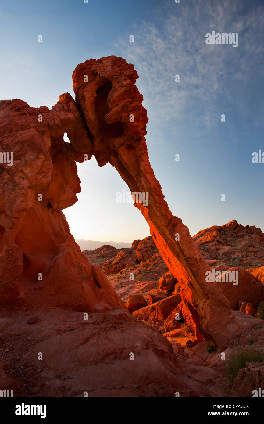 USA, Nevada, Valley of Fire State Park. View of Elephant Rock sandstone formation Stock Photo