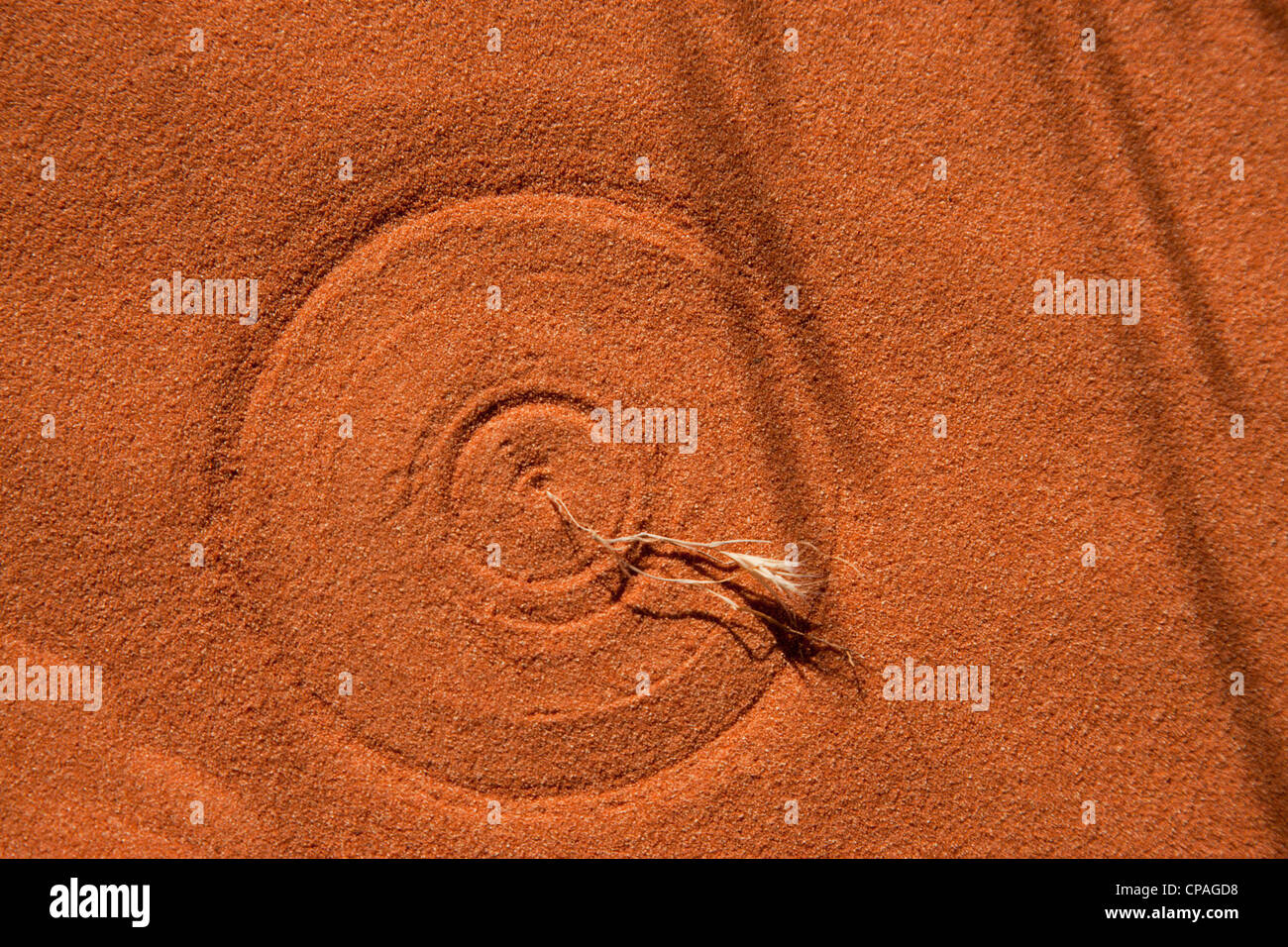 USA, Nevada, Valley of Fire State Park. Steady but gentle breezes cause a dying flower to create a perfect circle in the sand Stock Photo