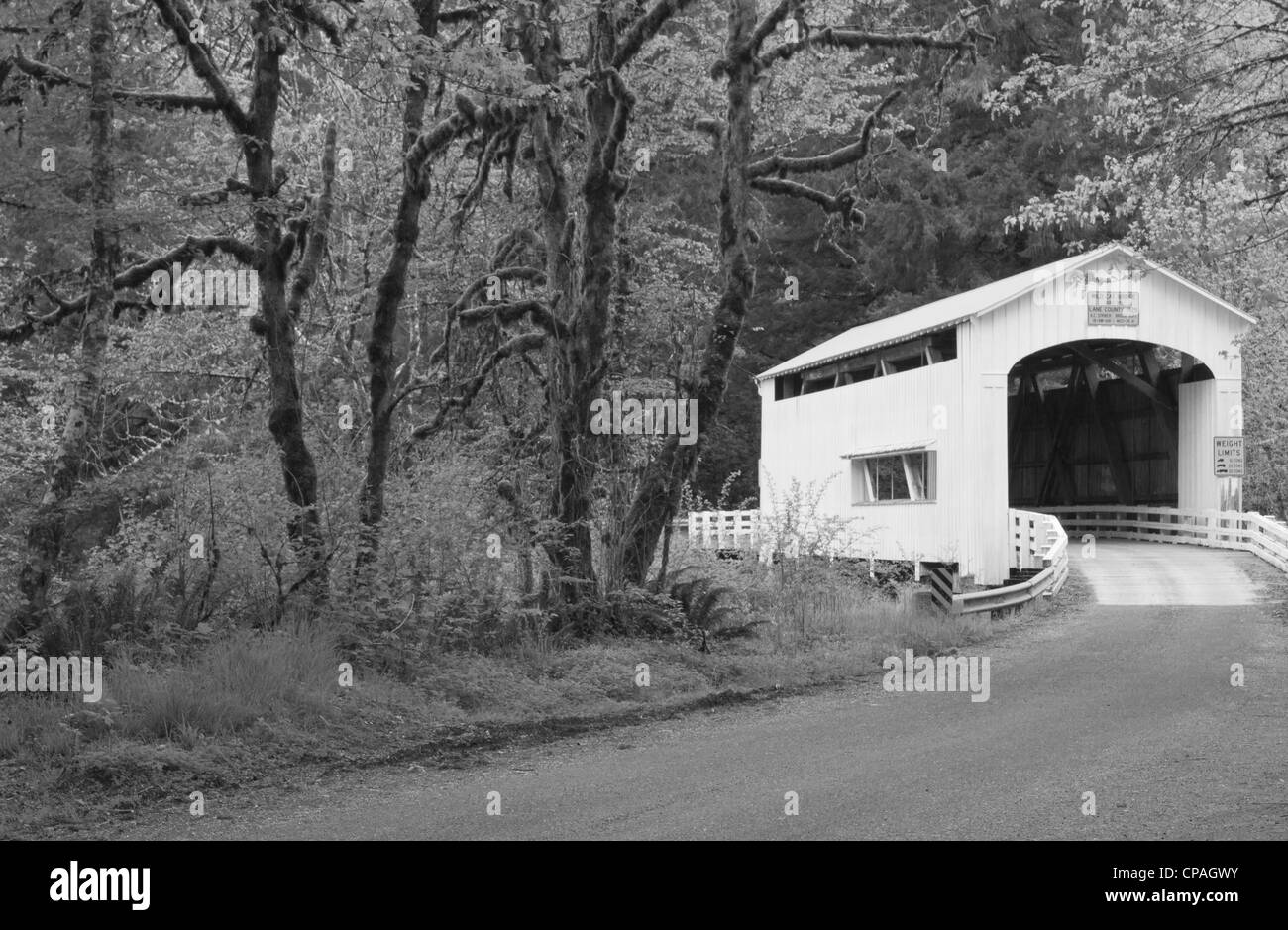 Wild Cat covered bridge, Lane County, Oregon Stock Photo Alamy
