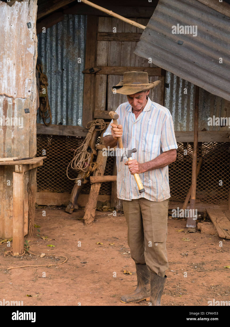 A 70-80 year old male Cuban tobacco farmer works with his tools by his shed in Viñales, Cuba in western Cuba. Stock Photo