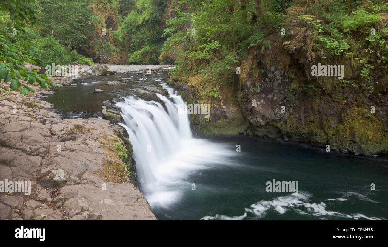 Eagle creek flows over a basalt block in the Mark O. Hatfield