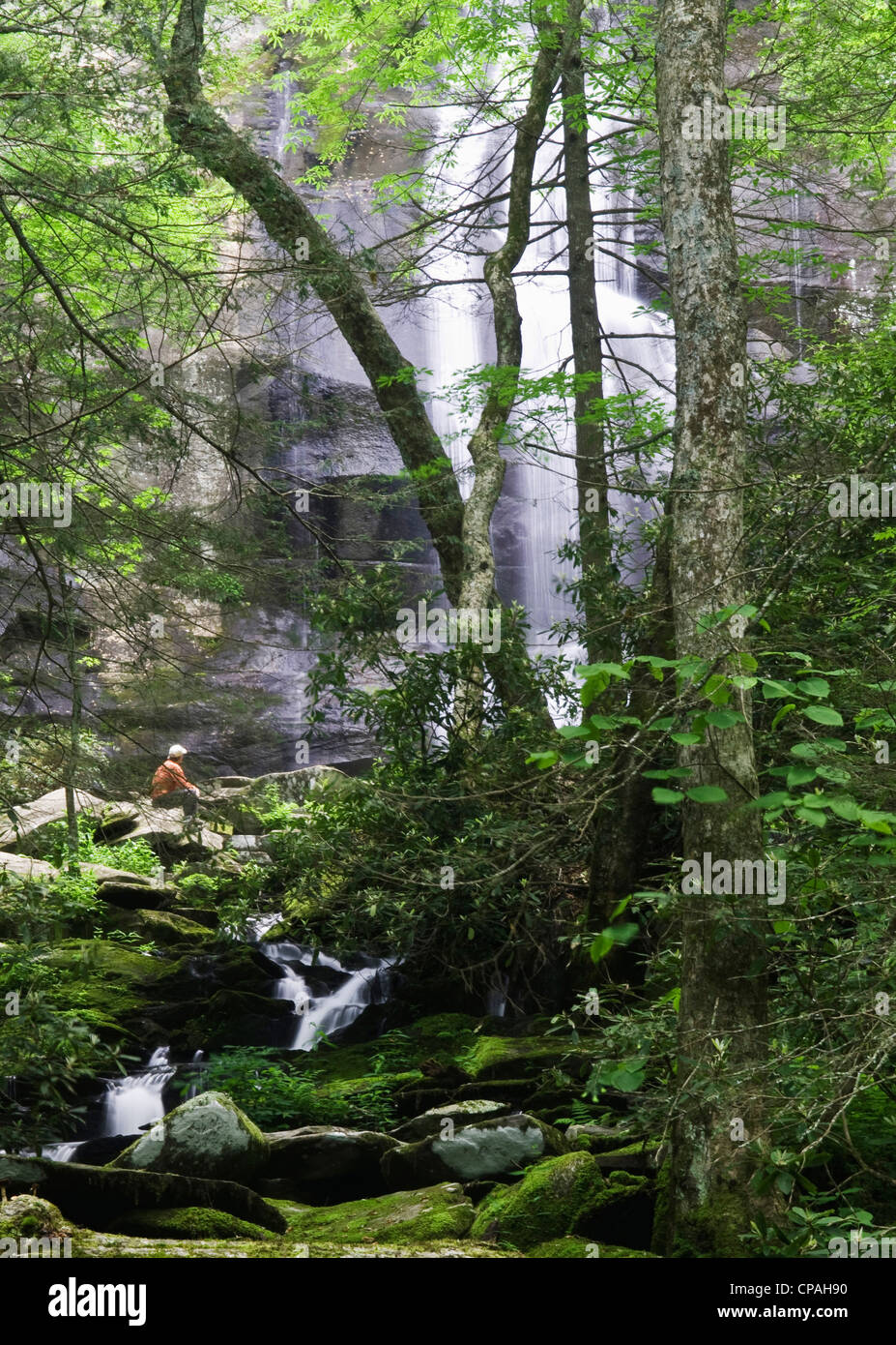 USA, TN. Hiker admires Falls Branch Falls in Cherokee National Forest off Cherohala Skyway. (MR) Stock Photo