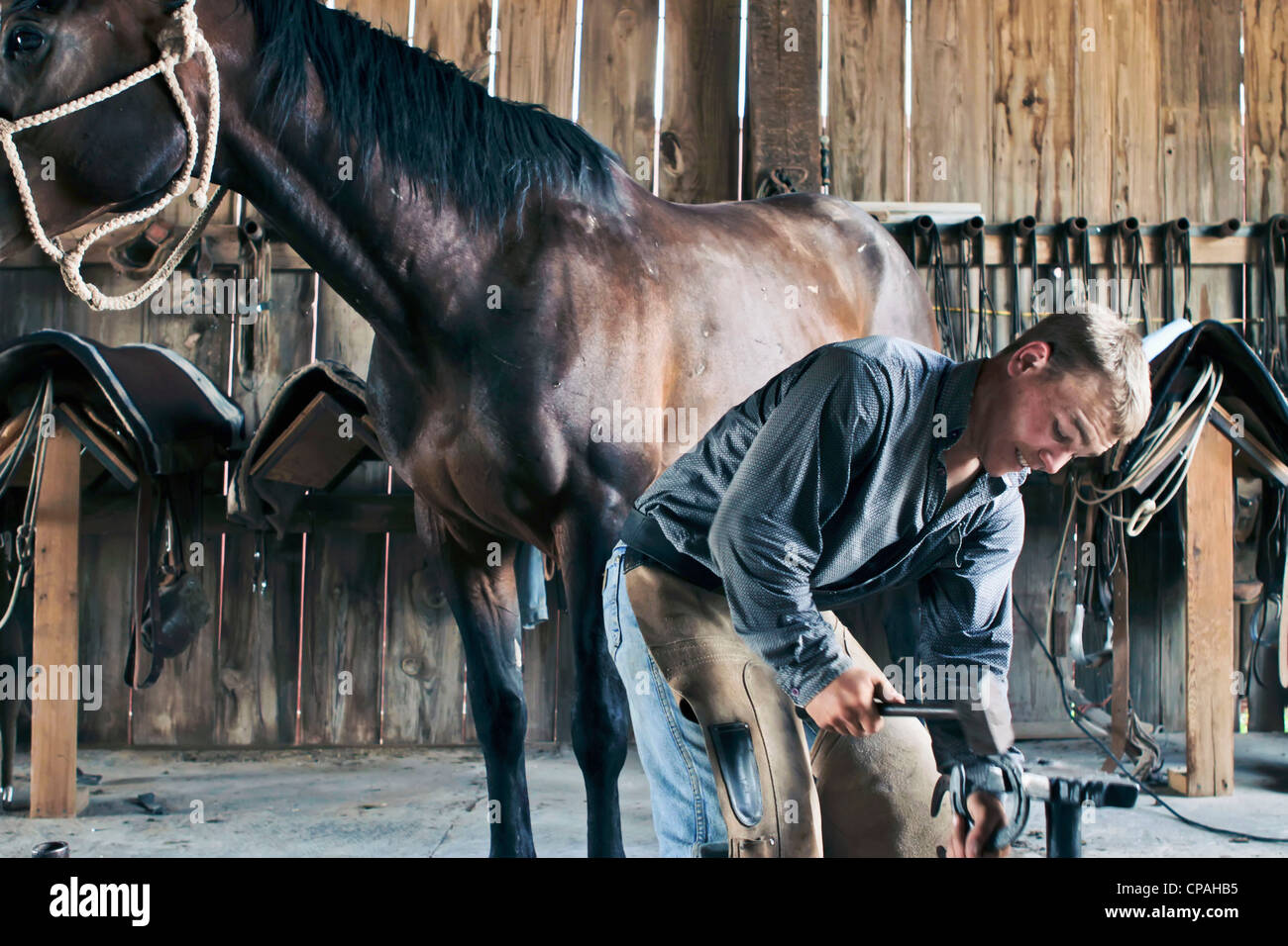 USA, West Texas. Cowboy on a West Texas ranch forming a new horseshoe