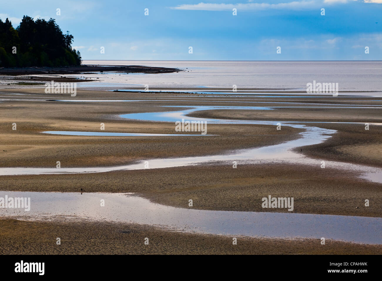 Low tide at a beach in Parksville, Vancouver Island, British Columbia