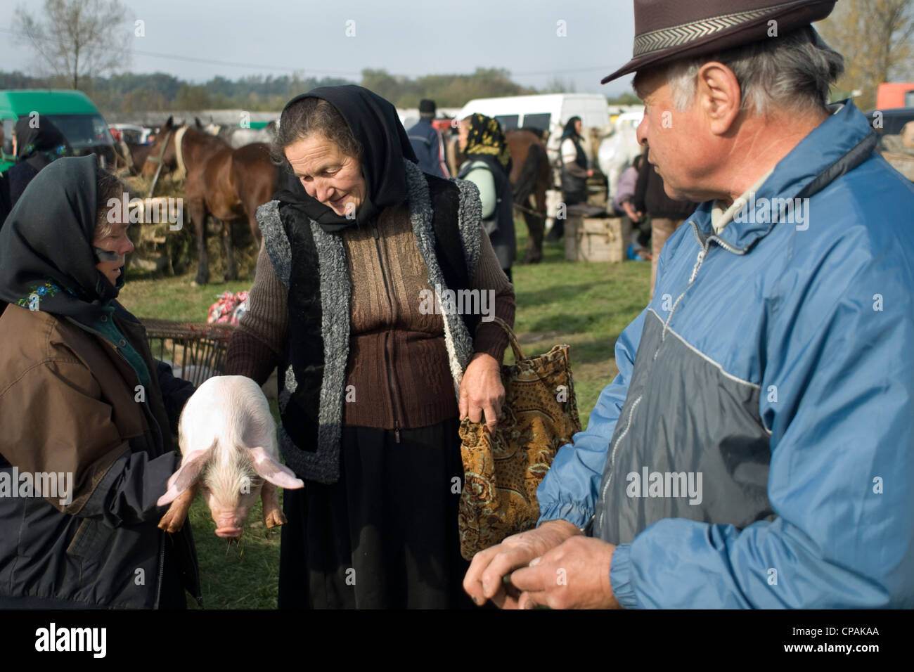Woman selling pig at market, Romania Stock Photo Alamy