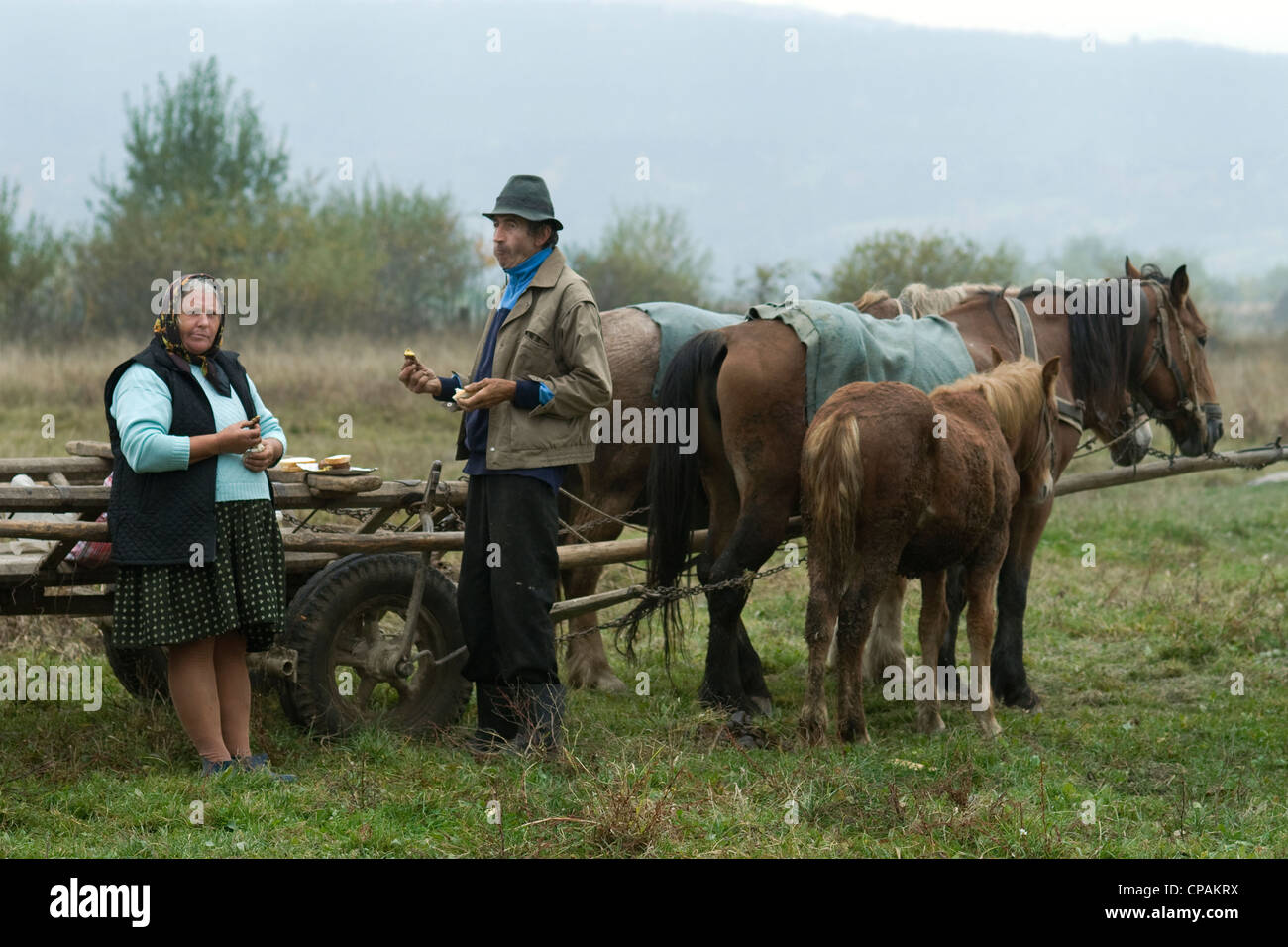 Peasant couple eat lunch by their horse and cart, Maramures Stock Photo