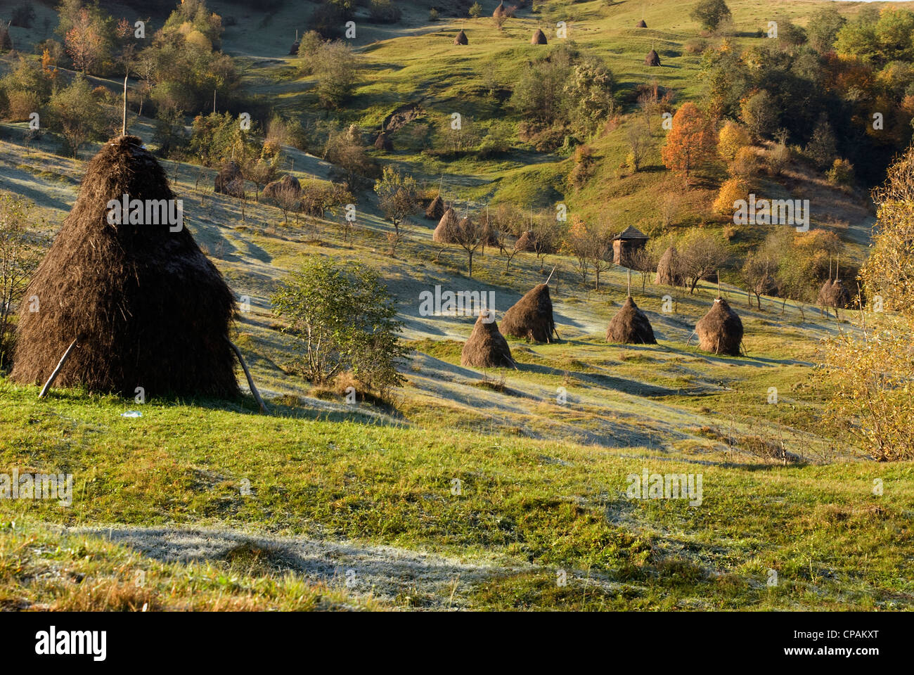 Haystacks, Romania Stock Photo