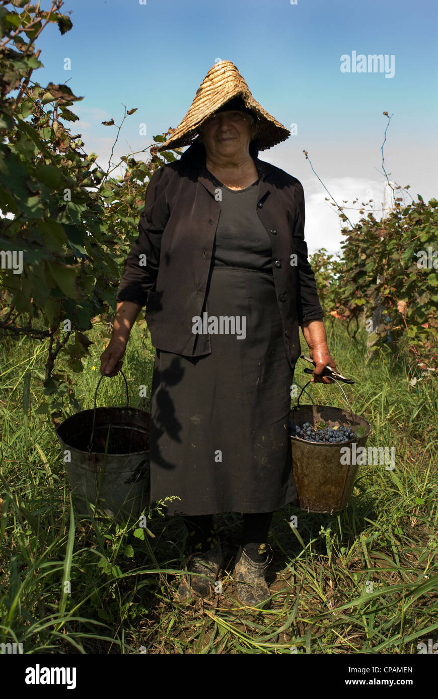 Woman grape picker, Georgia, former Soviet republic Stock Photo