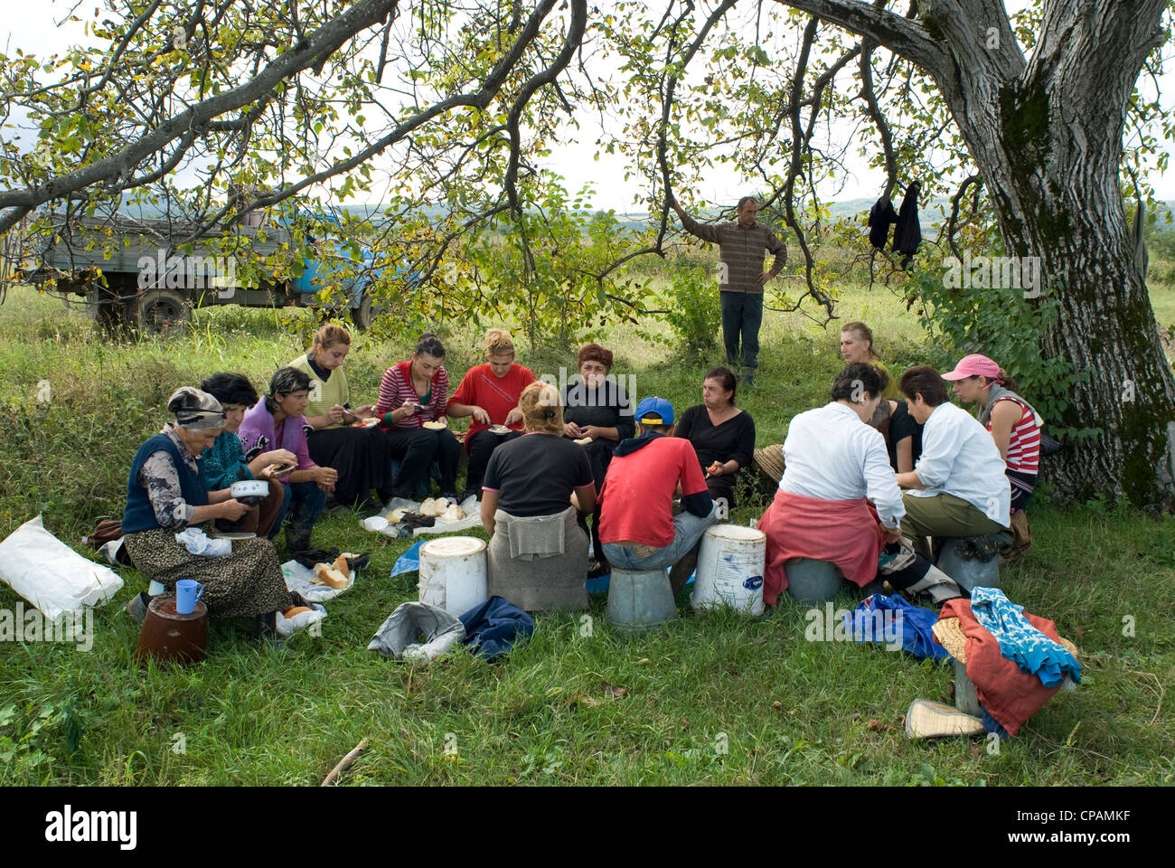 Grape pickers eat lunch under a tree, Georgia, former Soviet republic Stock Photo