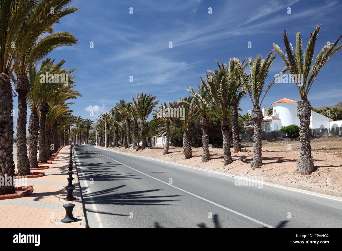 Road with palm trees in La Azohia, Region Murcia, Spain Stock Photo