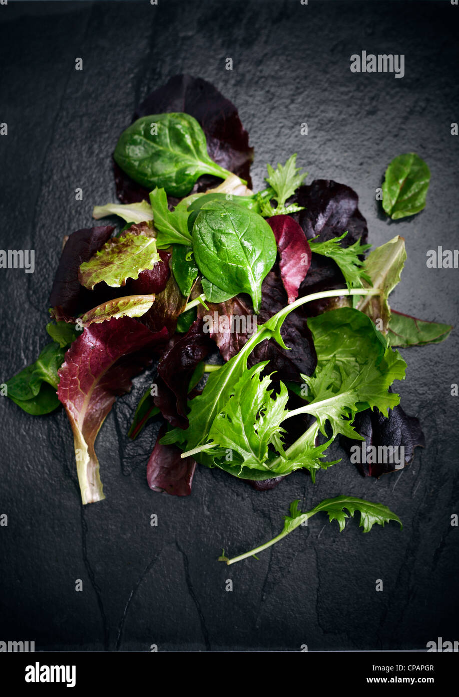 Mixed baby leaf salad on slate Stock Photo