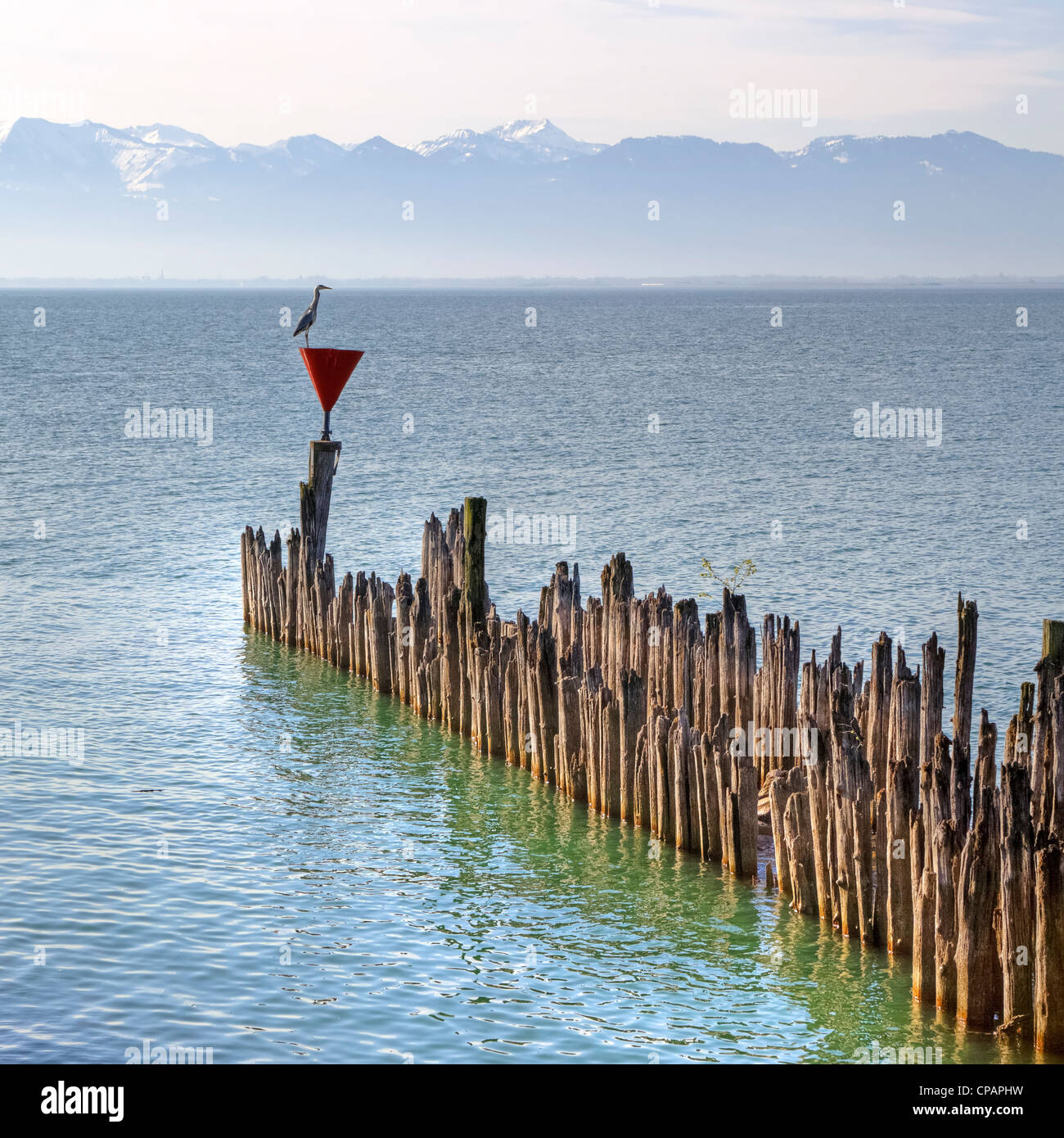 a water crane on a warning sign in front of a row of wooden piles in Lake Constance Stock Photo
