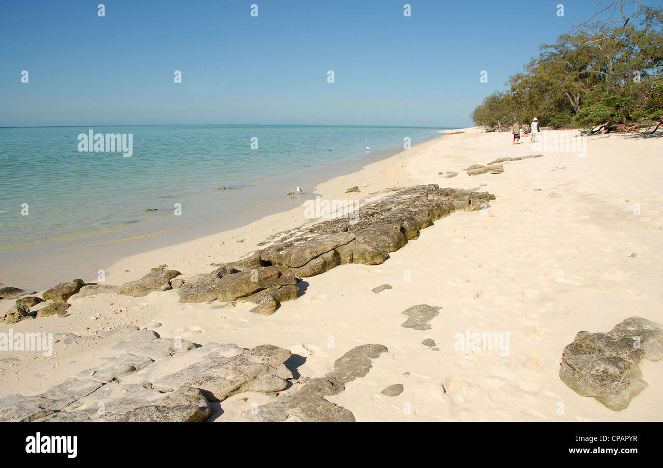 Heron Island in the southern Great Barrier Reef is a nature paradise shared by science and vacationers Stock Photo