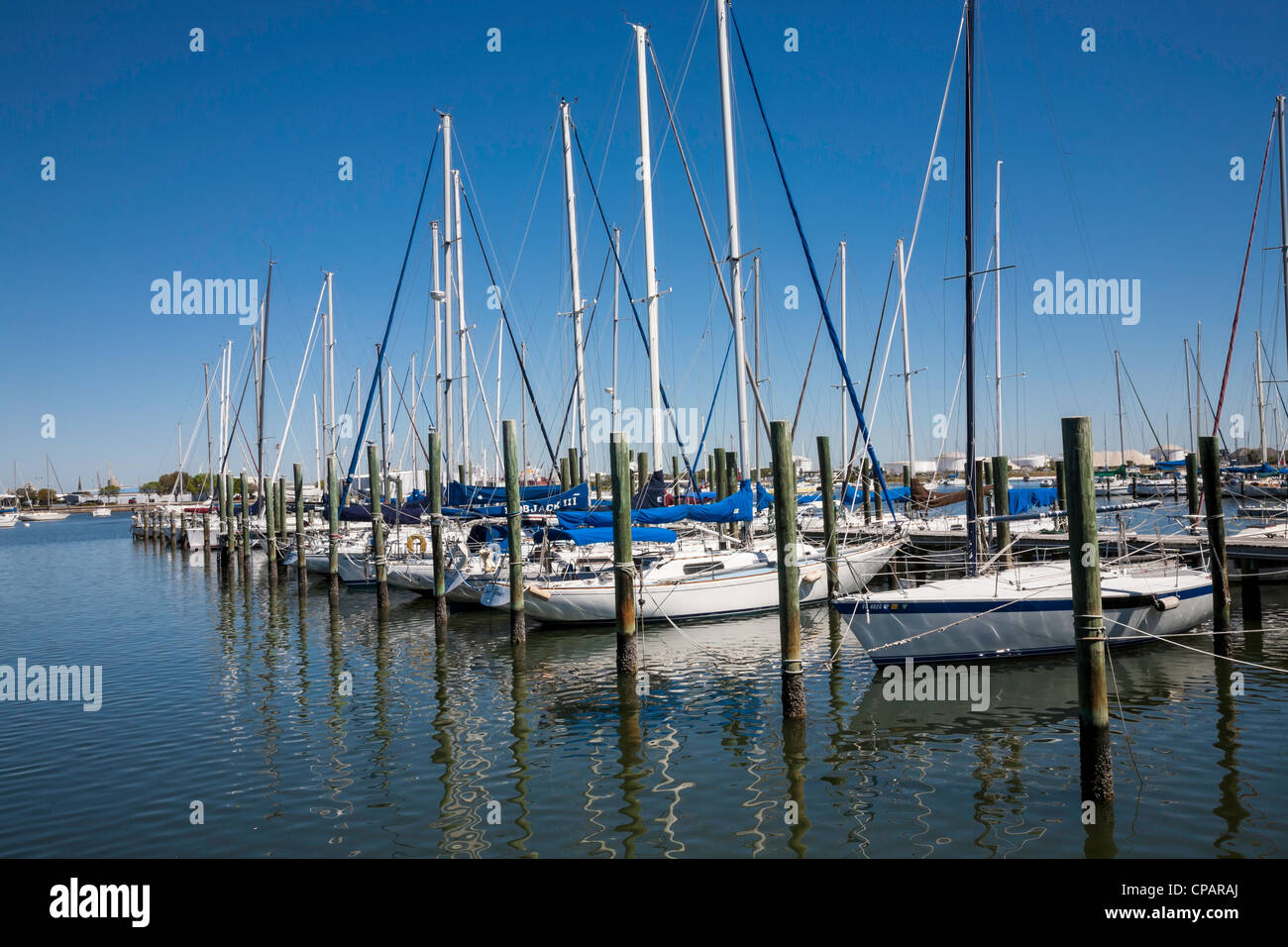 Davis island Yacht Club, Tampa Florida Stock Photo Alamy