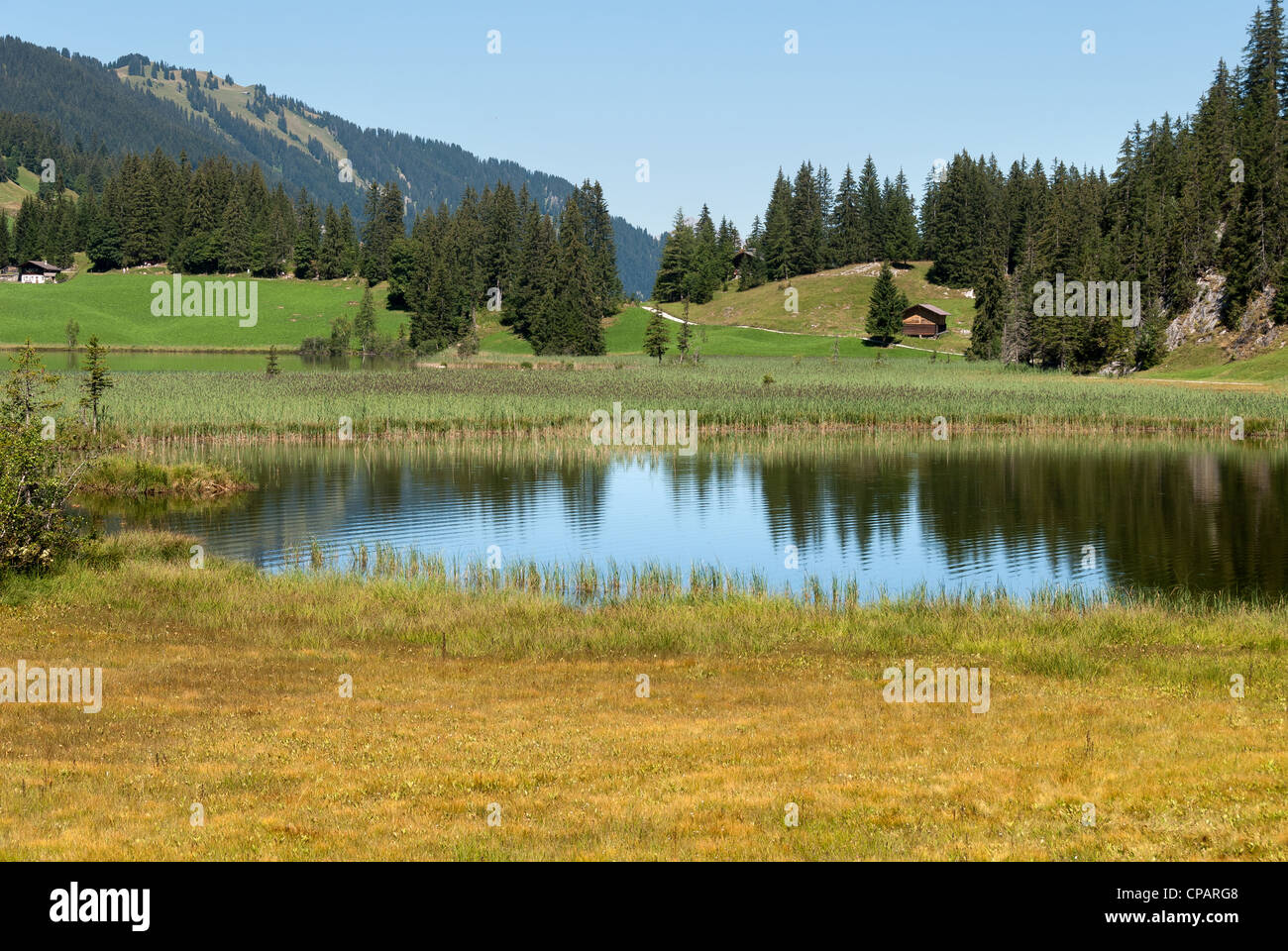 Lac de lauenen hires stock photography and images Alamy