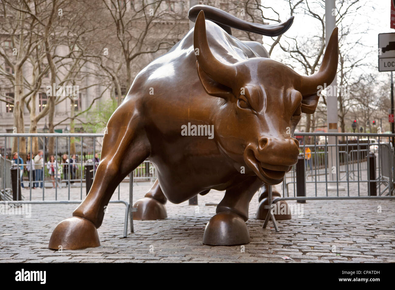 Bronze bull statue at Bowling Green in Lower Manhattan, New York City Stock Photo