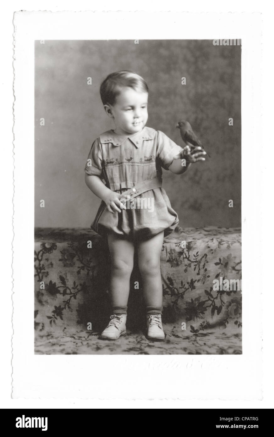 Vintage photograph of young boy in a romper suit holding a pet bird Stock Photo