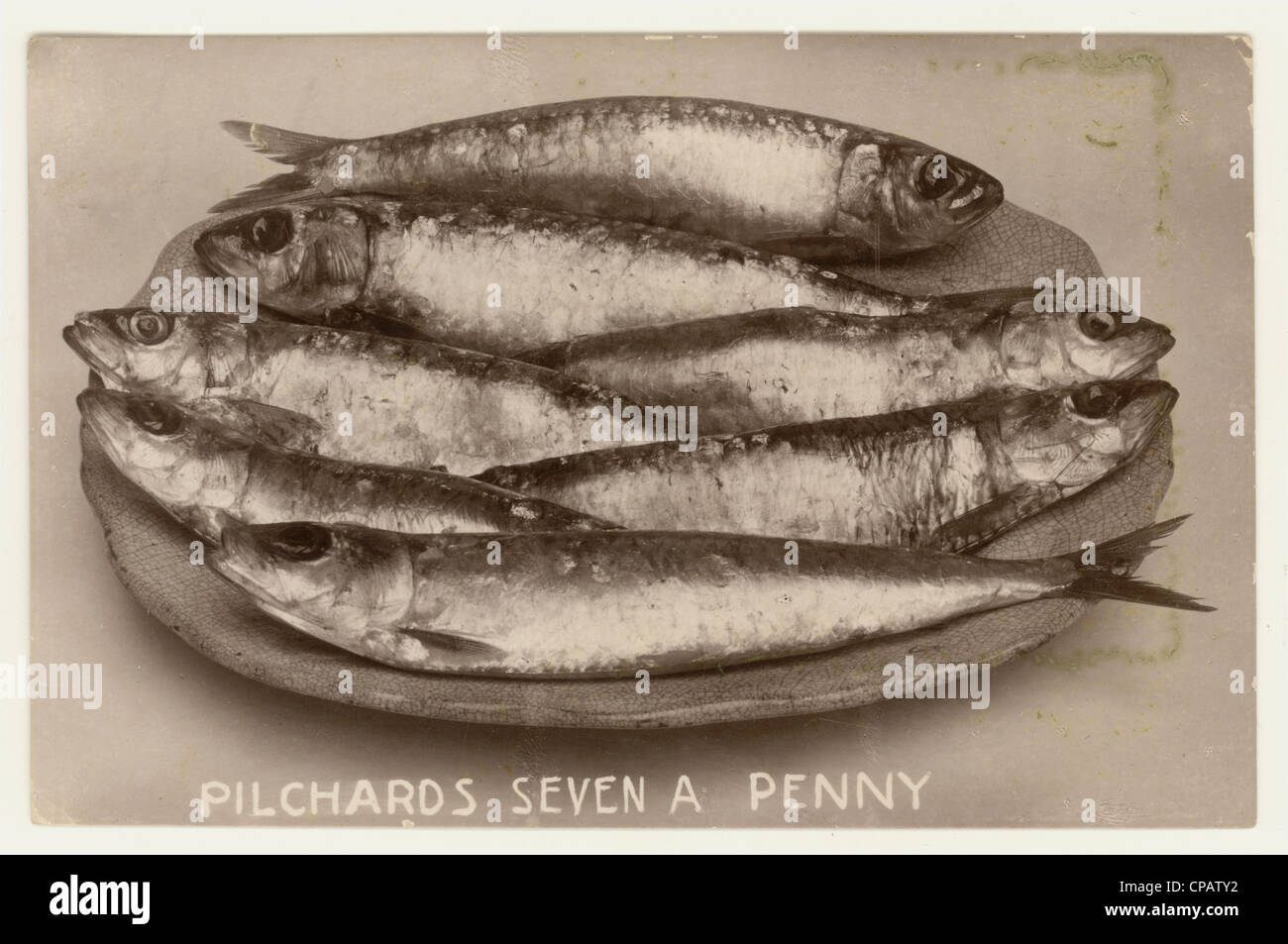 Original Edwardian era postcard still life of dish of pilchards, the caption reads 'Pilchards Seven a Penny' from Cornwall, UK , circa 1908 Stock Photo