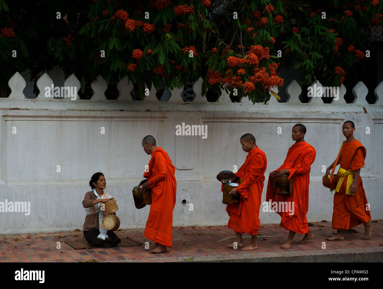 Monka collect alms every morning at dawn, Luang Prabang, Mekong River, Laos Stock Photo