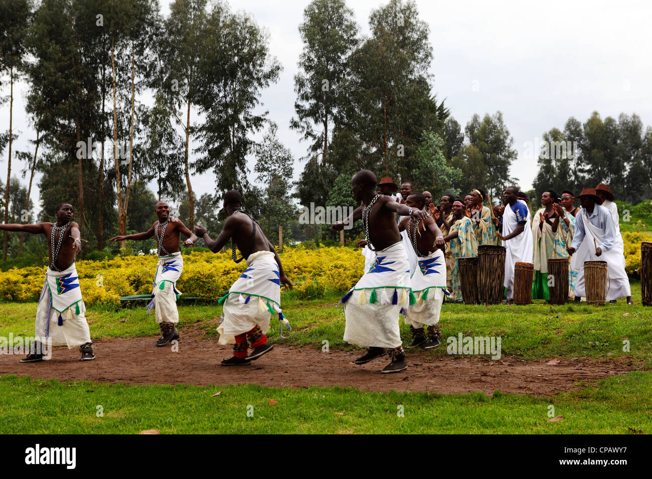 Tribal dancers and drummers provide a traditional welcome to the Volcanoes National Park, Rwanda. Stock Photo
