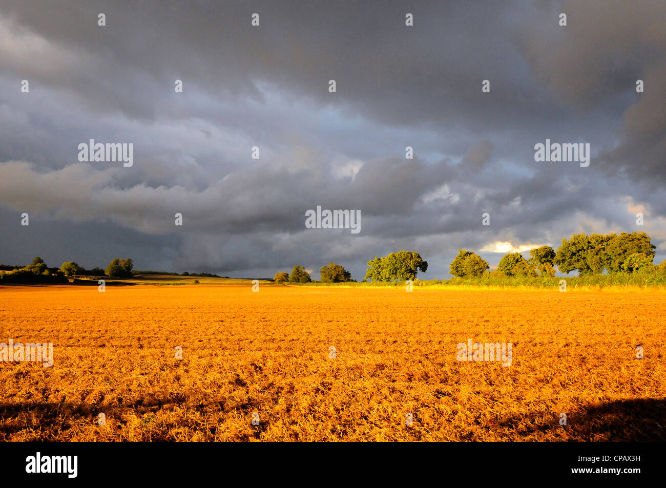 Sun Breaking Through the Clouds on Late Summer Fields with Stormy Skies Stock Photo