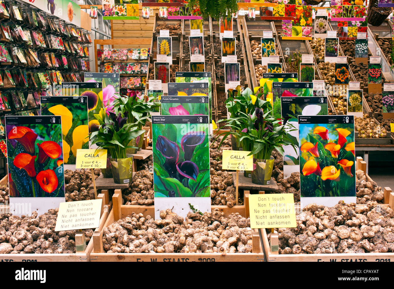 AMSTERDAM, NETHERLANDS MAY 05, 2012 Bulbs and plants for sale at the