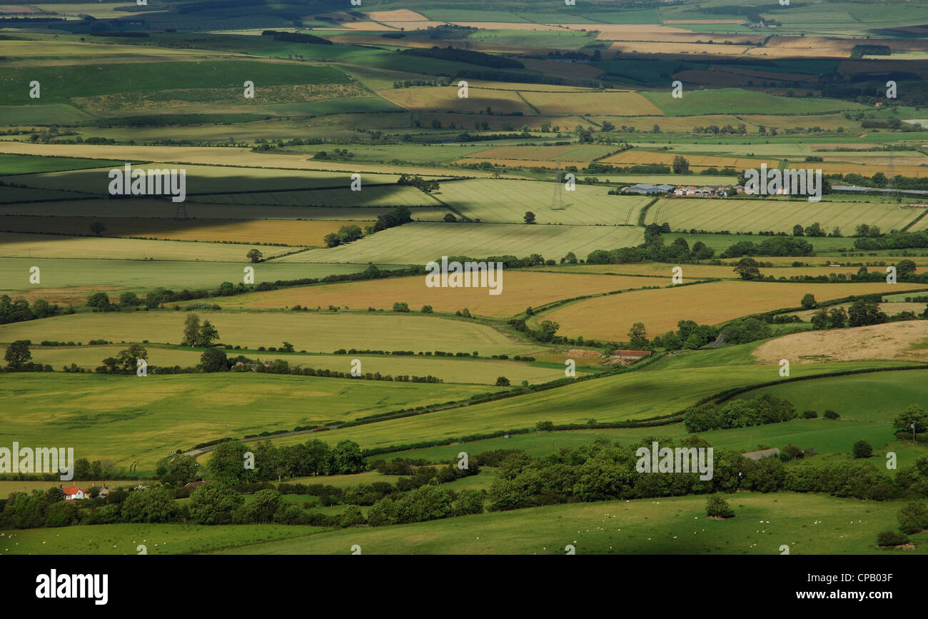 Fields and cloudshadows near the village of Wooler, Northumberland