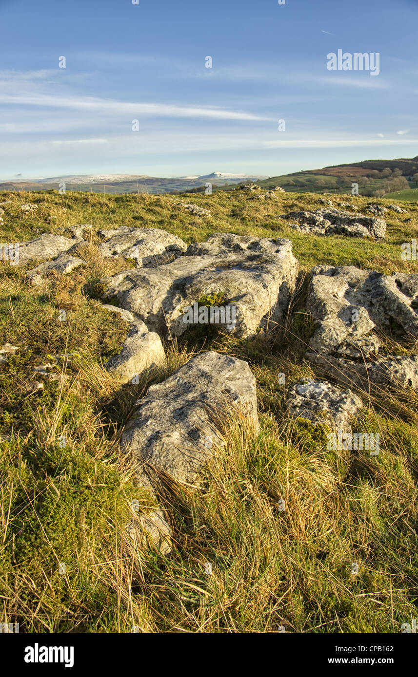 Limestone outcrops at Farletom Knott Cumbria Stock Photo