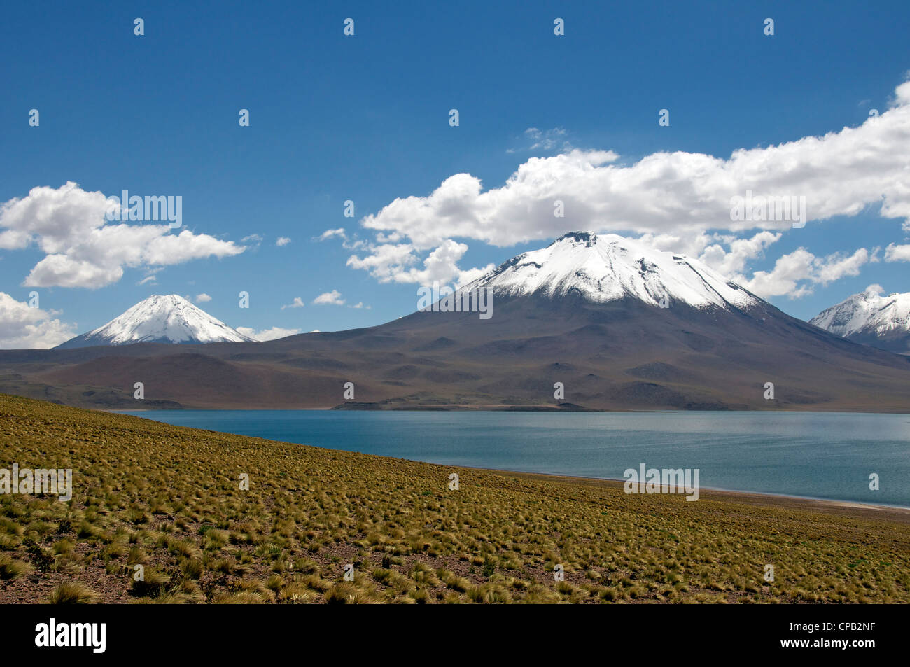 Laguna Miscanti High Altiplano Antofagasta Region Chile Stock Photo - Alamy