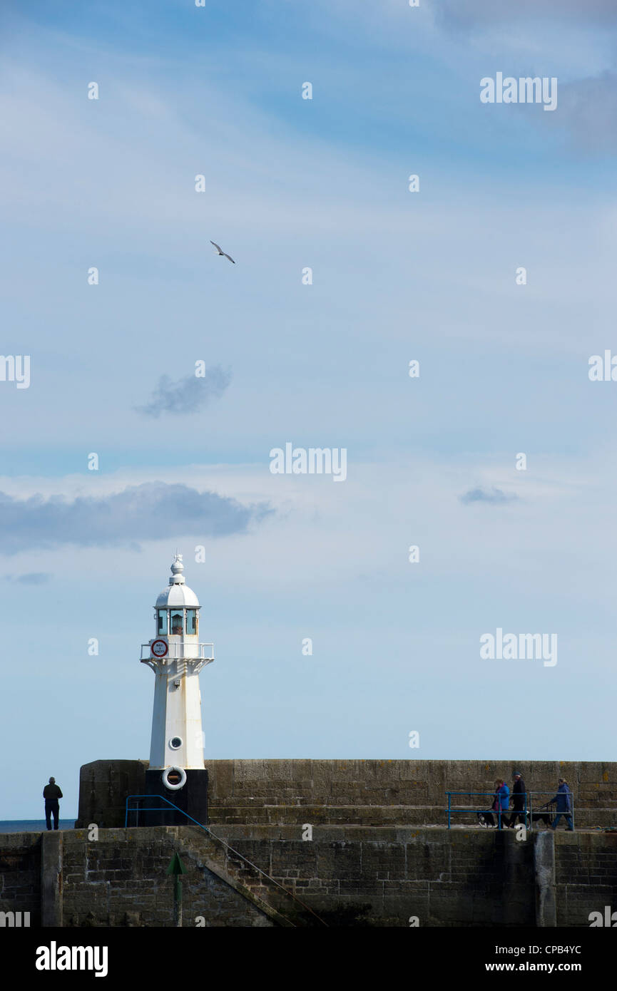 Mevagissey lighthouse on the harbour wall. Cornwall. England Stock Photo