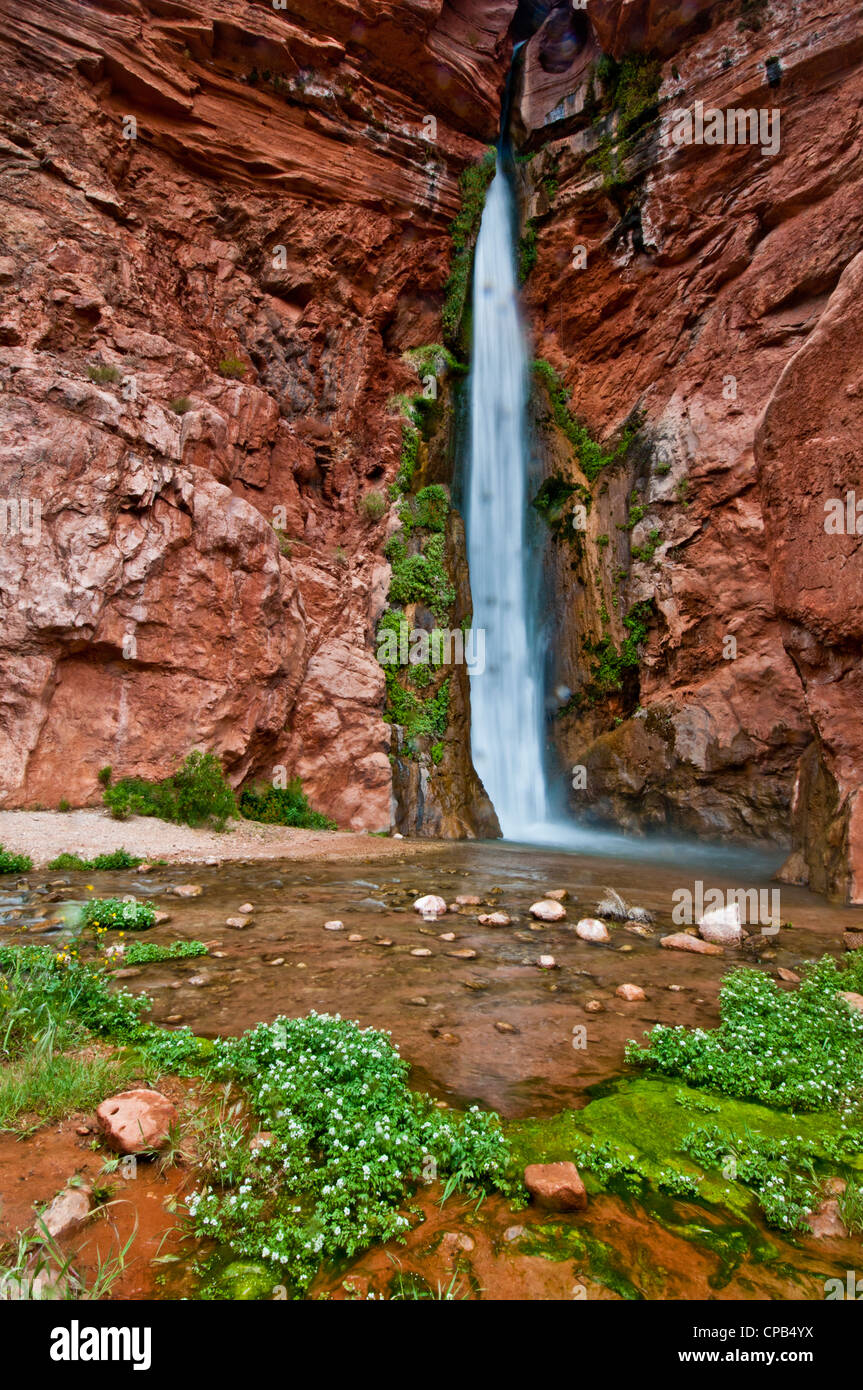 Grand canyon national park deer creek hires stock photography and