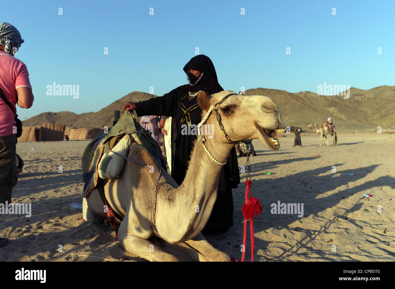 Bedouin woman guide in traditional clothing leads tourists riding camels in desert. Bedouin village about Hurghada Egypt Africa Stock Photo