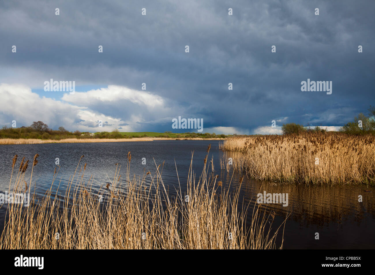 Dorney Wetlands nature reserve in Dorney, Buckinghamshire, UK Stock Photo